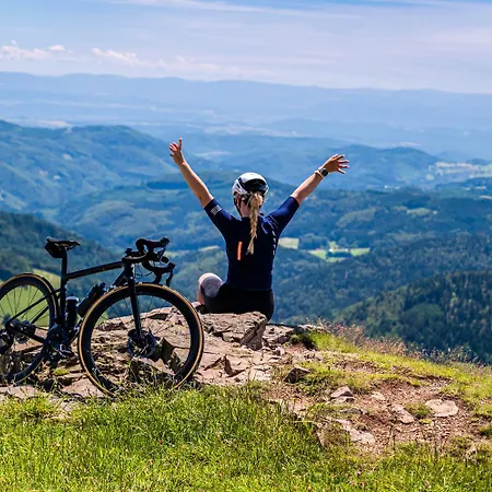 公寓 Schwarzwaldhaus - Schwarzwaldtanne, St Blasien - *